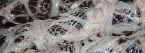 печень в жировой сетке. Шаг 3