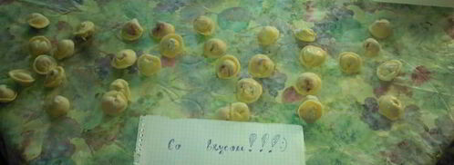 пельмени сибирские со смешанным фаршем. Шаг 6