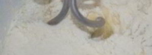 тесто для пельменей на минералке. Шаг 3