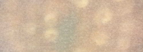 джамбалайя. Шаг 6