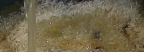 плов в тесте фило. Шаг 5