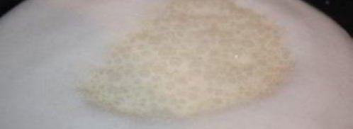 фрикасе по-французски. Шаг 5