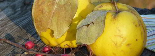 осеннее рагу. Шаг 6