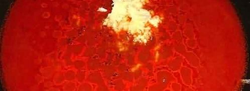 рагу из баранины и овощей. Шаг 37