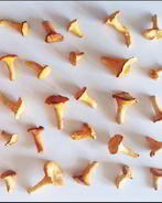 Рагу из лисичек и баклажанов