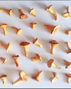 Рагу из лисичек и баклажанов