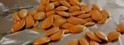 рагу из тыквы и кабачков. Шаг 3