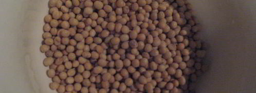 рагу с соевыми бобами в чугунке. Шаг 2