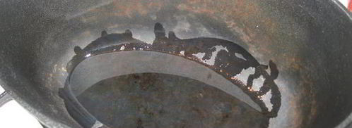 рагу с соевыми бобами в чугунке. Шаг 7