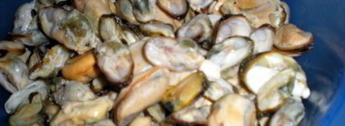 желтое ризотто с морепродуктами. Шаг 2