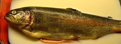 форель альмадин из штата айдахо с картофельным пюре из айдахо. Шаг 4