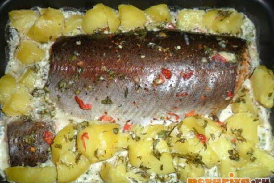 Рецепт форели, запеченной с картофелем в сливках