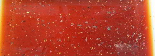 кальмар, фаршированный лососем. Шаг 2