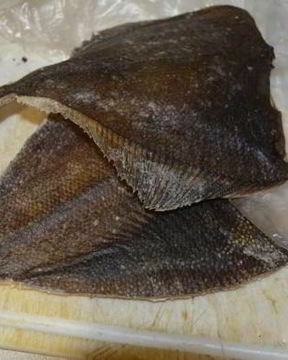 Сушеная камбала