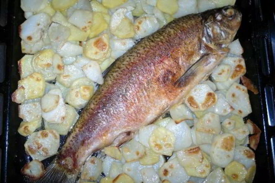 Рецепт запеченного язя в духовке с картошкой