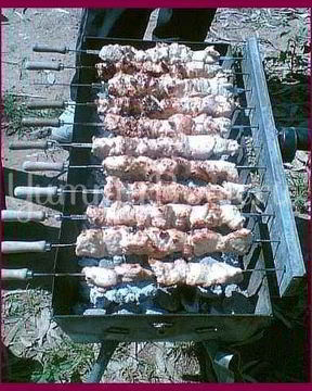 Шашлык из индейки