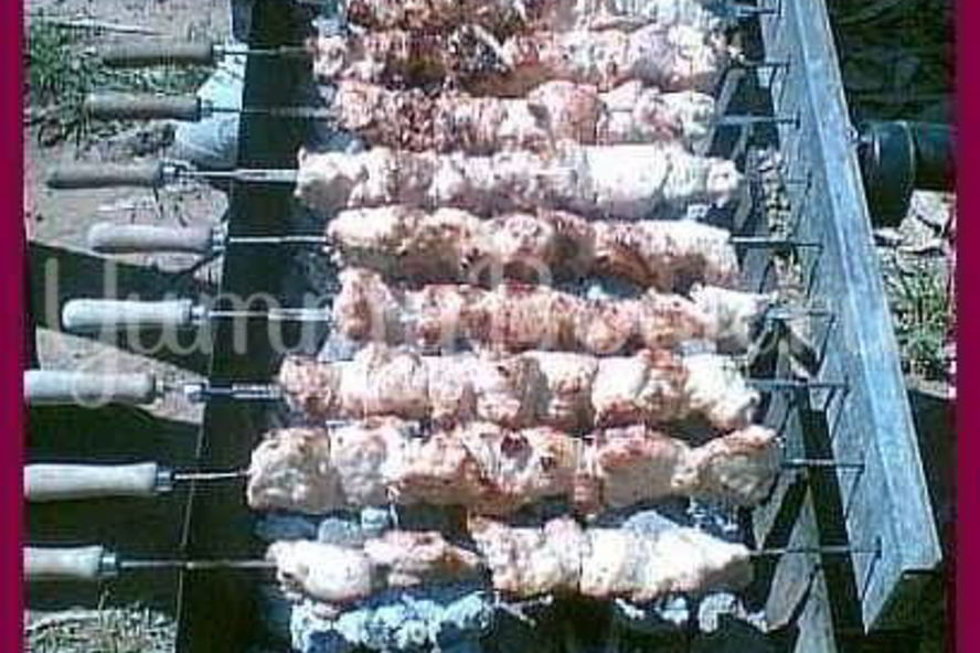 Рецепт шашлыка из индейки