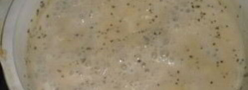 стейк семги под сливочным соусом. Шаг 4