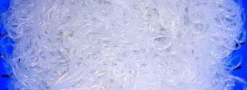 стеклянная лапша с фаршем и овощами. Шаг 5