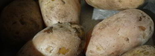 ленивые вареники из картошки со шкварками. Шаг 8