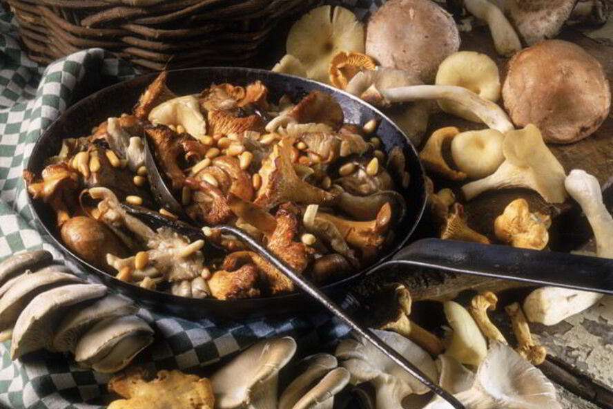 Рецепт жаркого с летними опятами