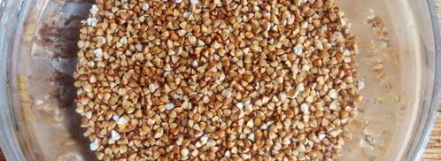 гречка с грибами и овощами в духовке. Шаг 7