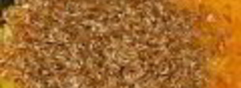 каша из полбы в мультиварке. Шаг 2