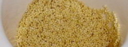 каша с тыквой в горшочке. Шаг 2