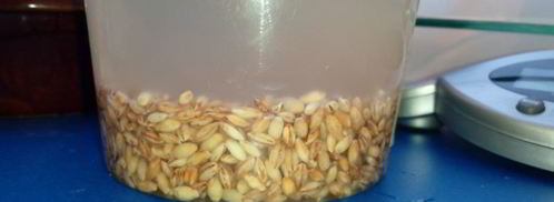 перловая каша. Шаг 2