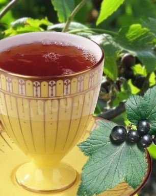 Чай из листьев смородины