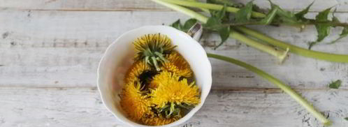 чай из одуванчиков. Шаг 4