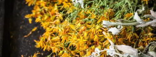 чай из зверобоя. Шаг 8