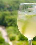 Имбирно-мятный чай