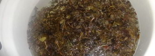 холодный зеленый чай с ромашкой и мелиссой. Шаг 2