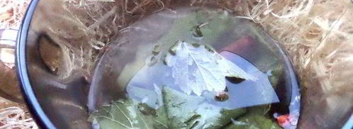 согревающий чай со специями. Шаг 11