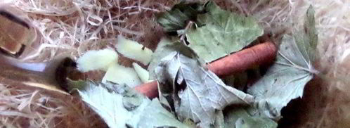 согревающий чай со специями. Шаг 10