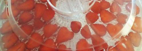 сушеная клубника на чай. Шаг 4