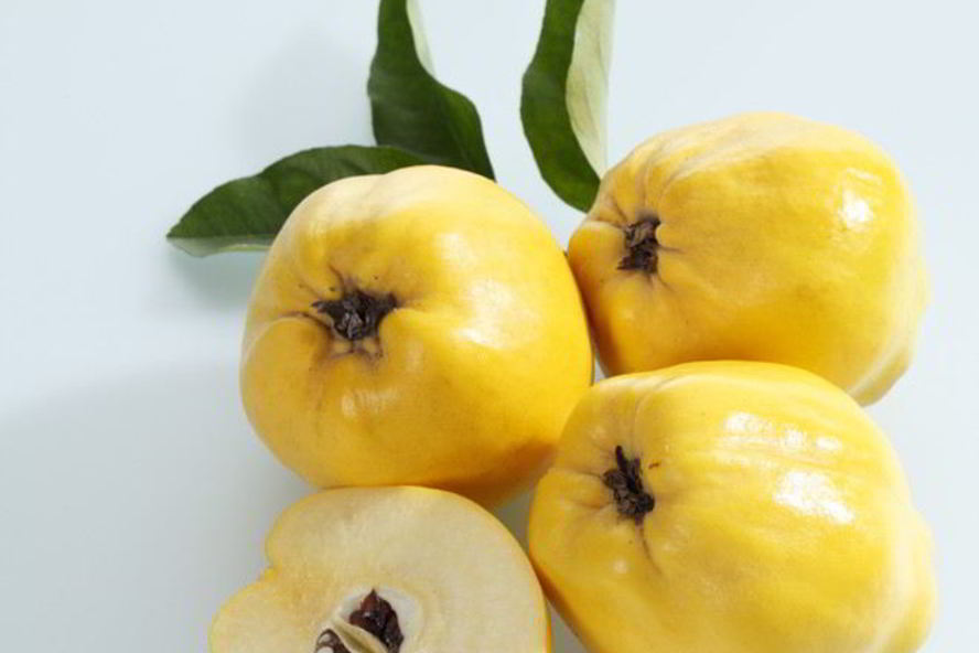 Рецепт домашнего вина из айвы