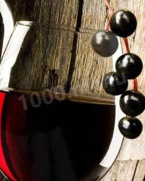 Домашнее вино из черемухи