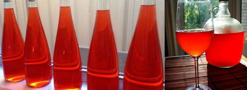 домашнее вино из клубники. Шаг 9