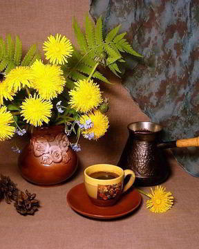 Кофе из корней одуванчика