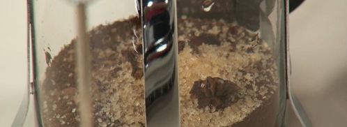 кофе масала. Шаг 2