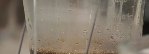 кофе по-венски. Шаг 2