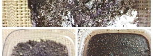 наполеон с горьким шоколадом, кофе и миндальной пастой. Шаг 5