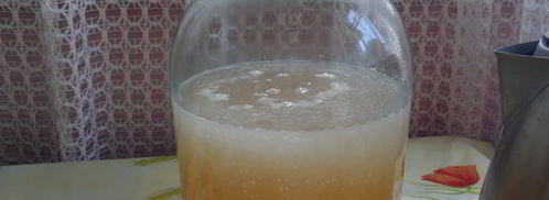 квас домашний. Шаг 6