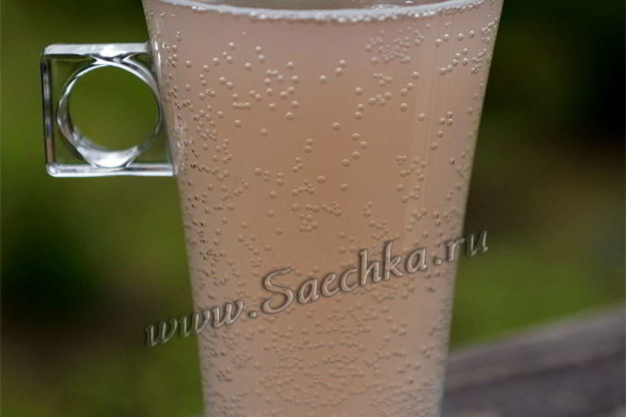 Рецепт кваса из ревеня