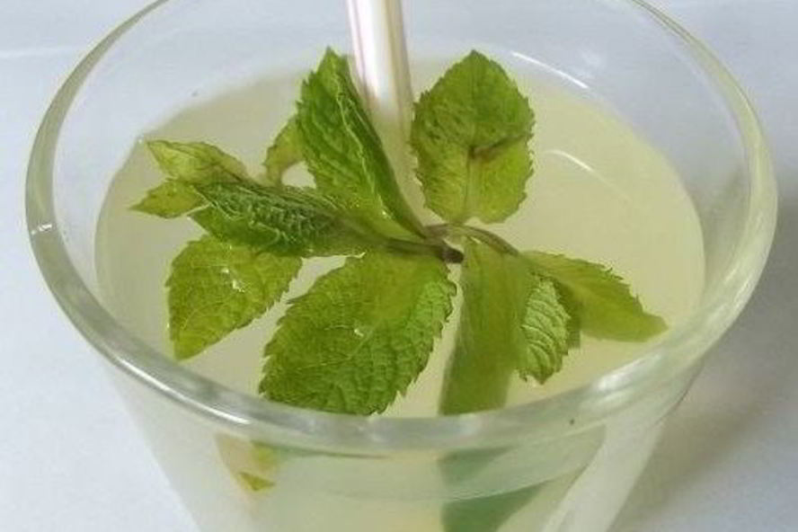 Рецепт лимонада с мятой