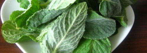 напиток освежающий. Шаг 2