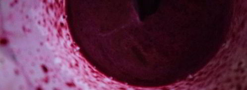 черничный смузи. Шаг 3