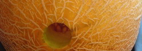 смузи магический цветок. Шаг 13